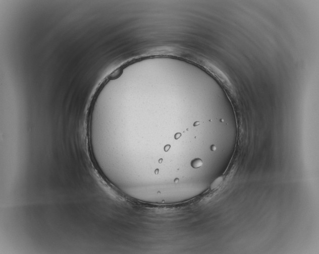 X0000112410800200909041355