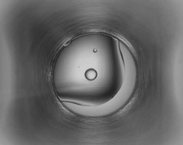 X0000112410801200909041355