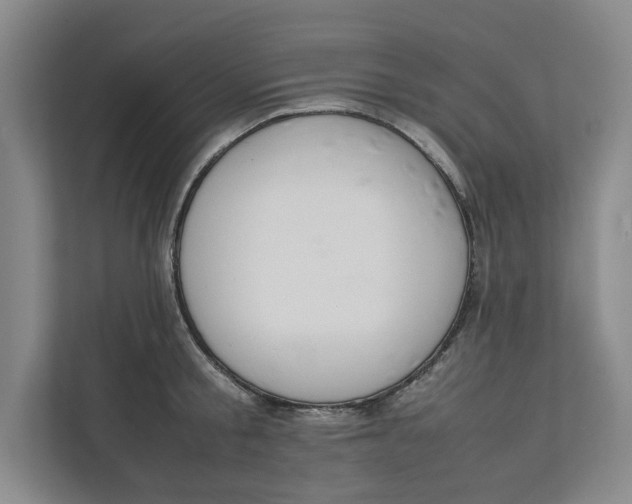 X0000112410805200909041355