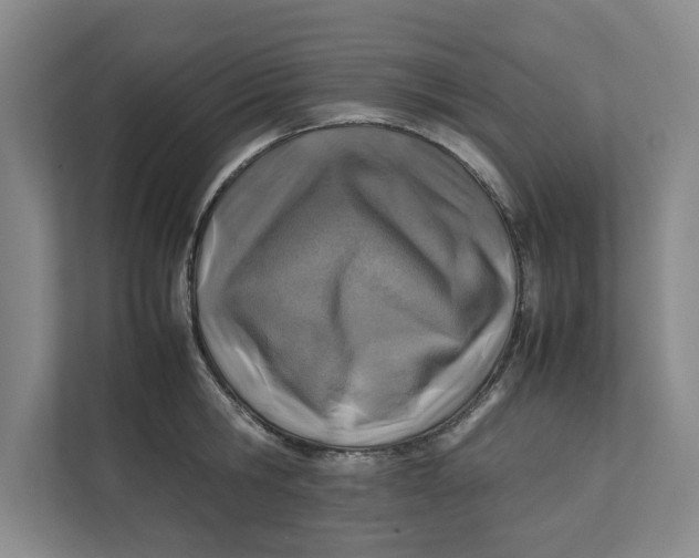 X0000112410806200909041355