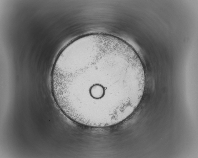 X0000112410807200909041355