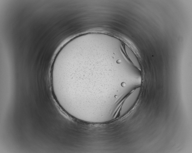 X0000112410808200909041355