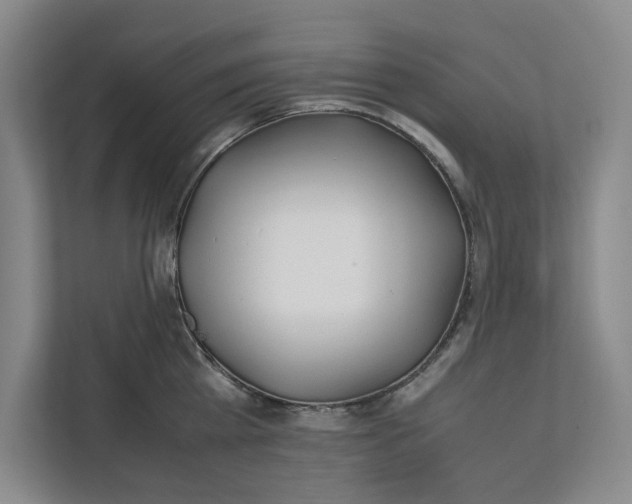 X0000112410809200909041355