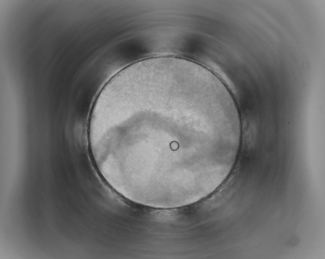 X0000112410810200909041355