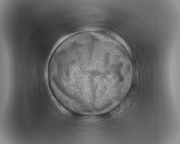 X0000112410811200909041355