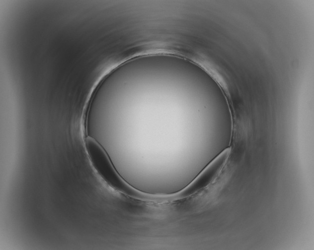 X0000112410813200909041355