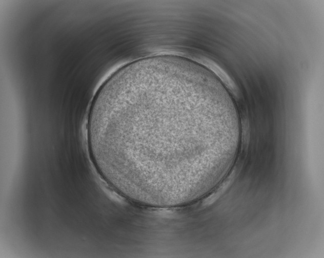 X0000112410814200909041355