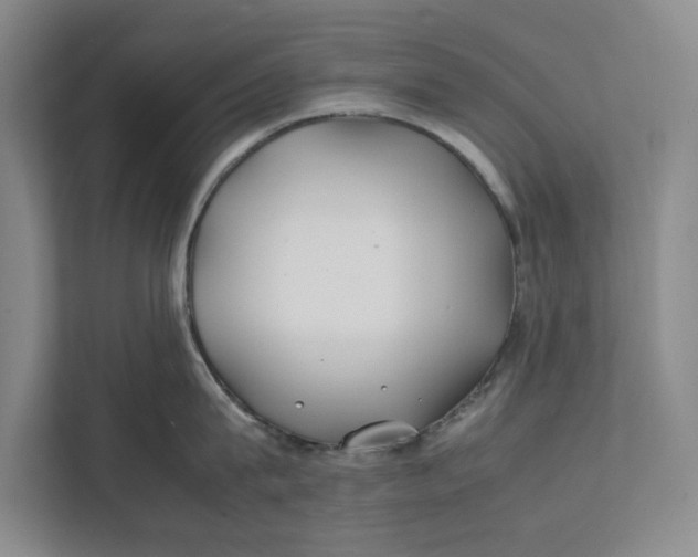 X0000112410815200909041355