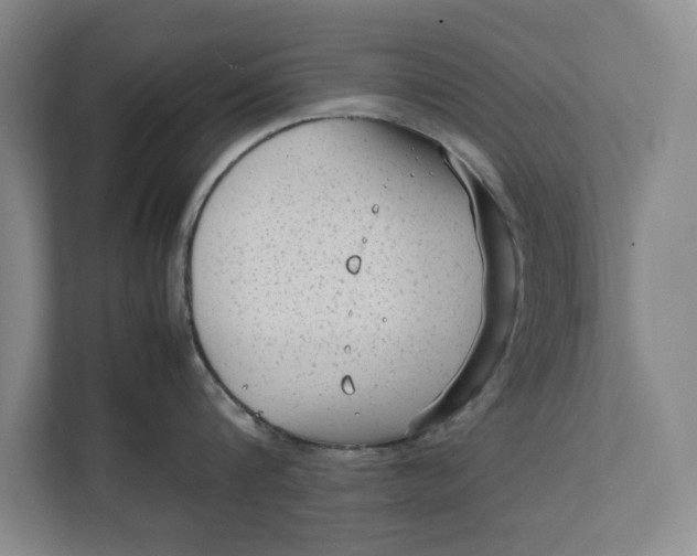 X0000112410816200909041355