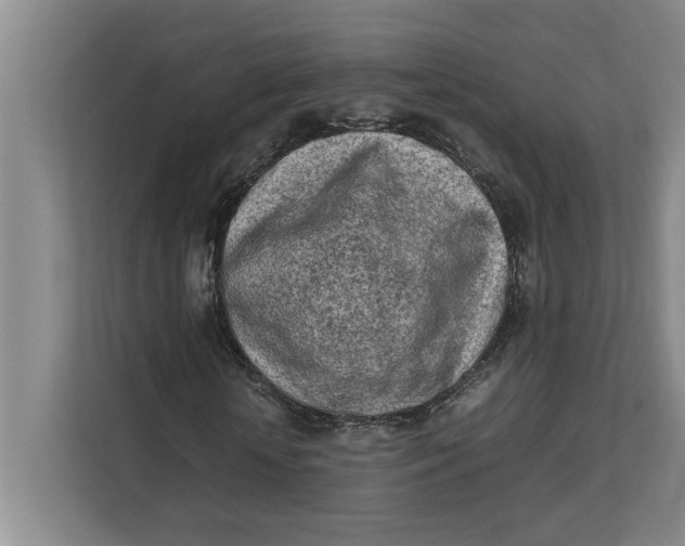 X0000112410818200909041354