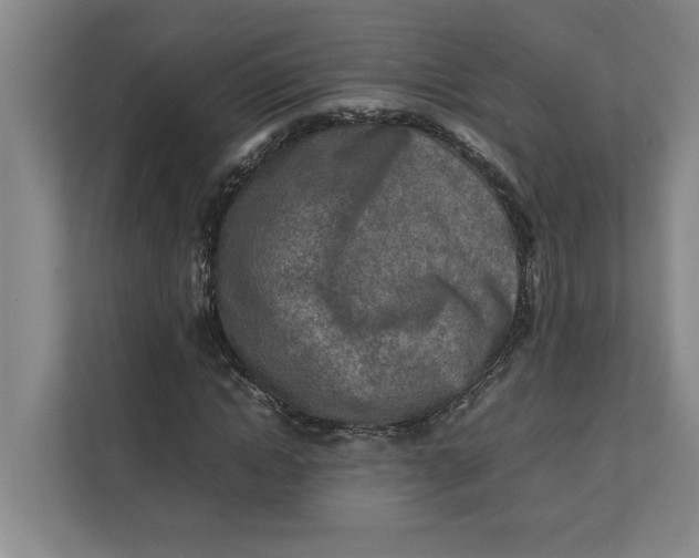 X0000112410822200909041354