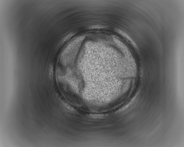 X0000112410825200909041354