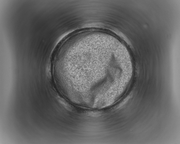 X0000112410830200909041354