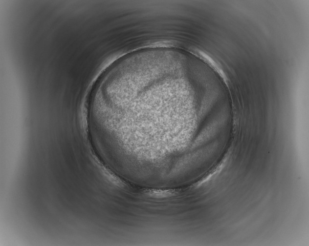 X0000112410835200909041354