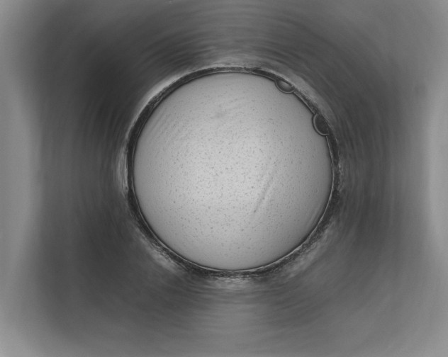 X0000112410838200909041354