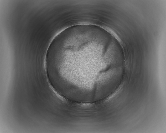 X0000112410839200909041354