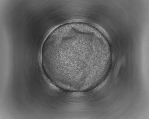 X0000112410844200909041355