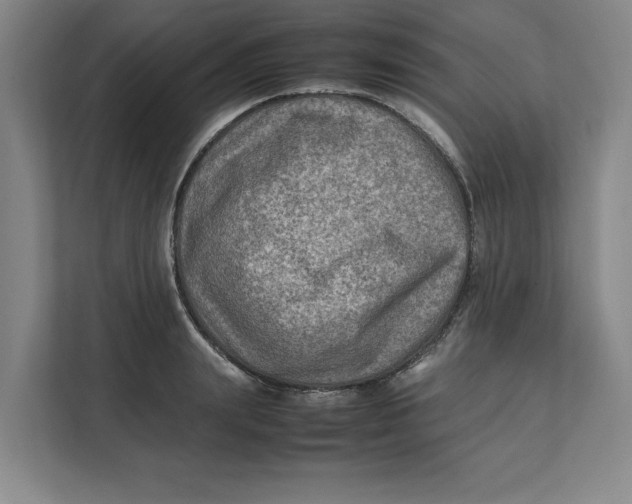 X0000112410847200909041355