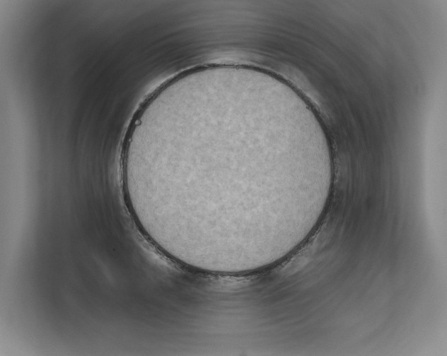 X0000112410848200909041355