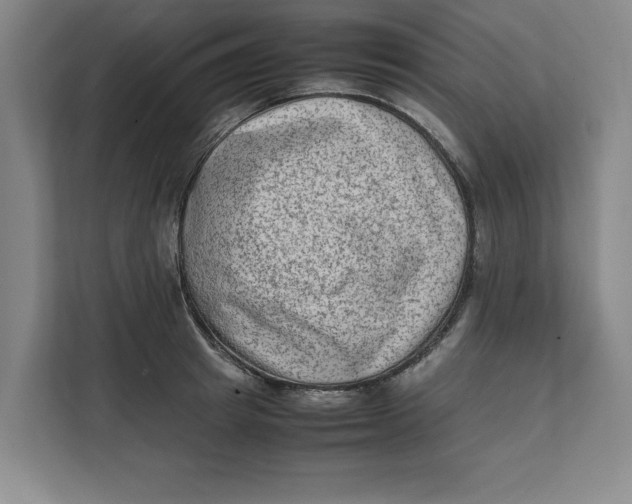 X0000112410849200909041355