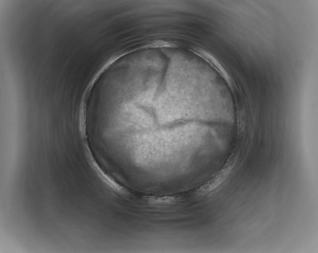 X0000112410851200909041355