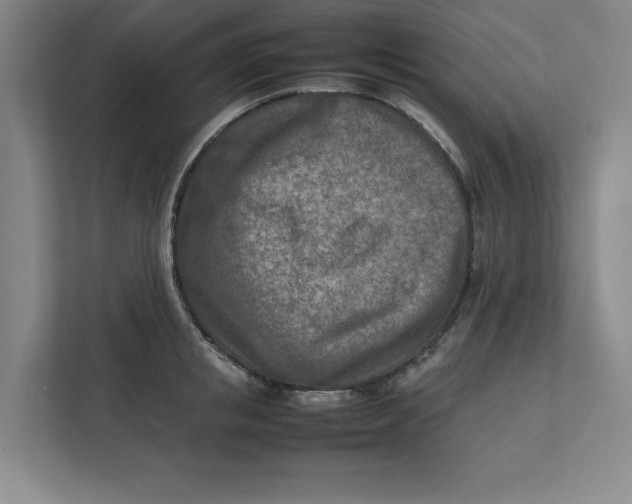 X0000112410853200909041355