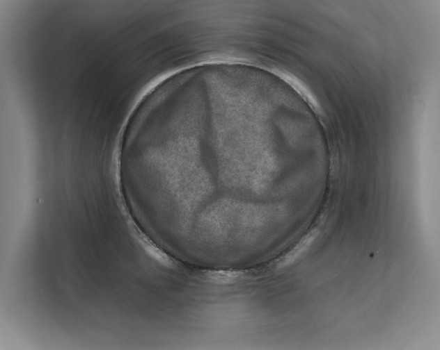 X0000112410854200909041355