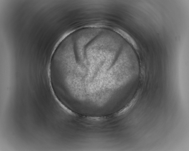 X0000112410855200909041355