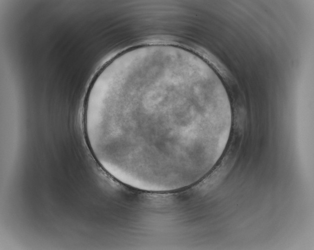 X0000112410856200909041355