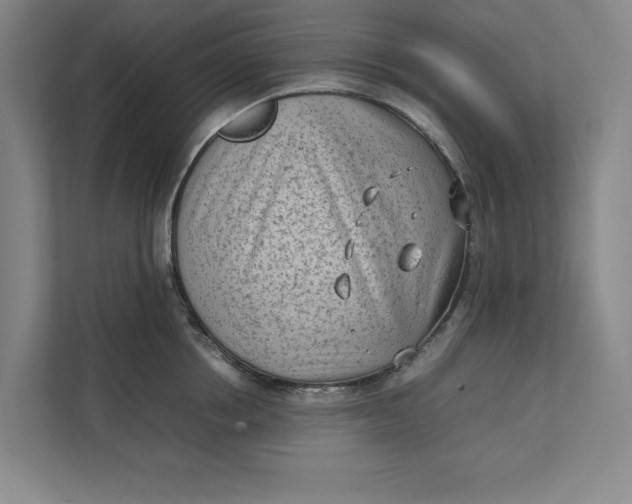 X0000112410858200909041355