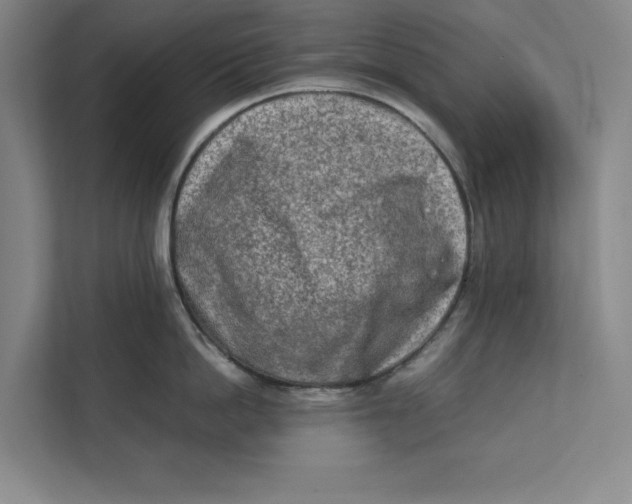 X0000112410862200909041355