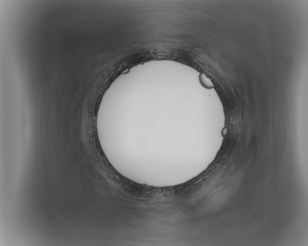 X0000112410865200909041354