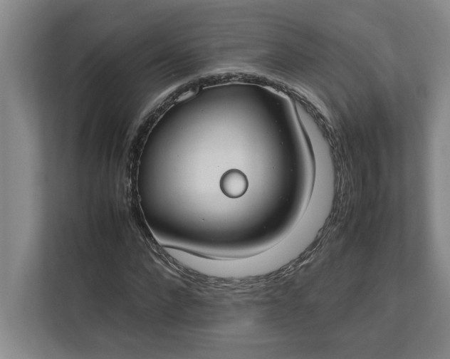 X0000112410872200909041354