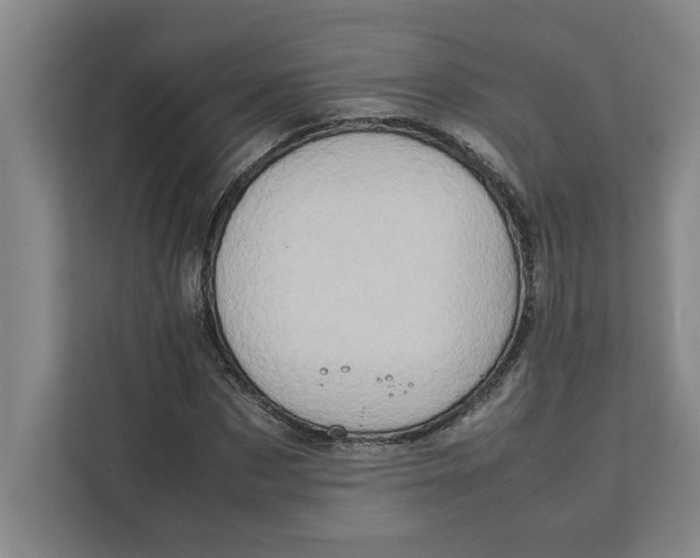 X0000112410873200909041354