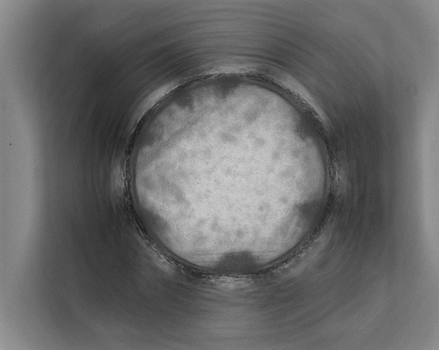 X0000112410874200909041354