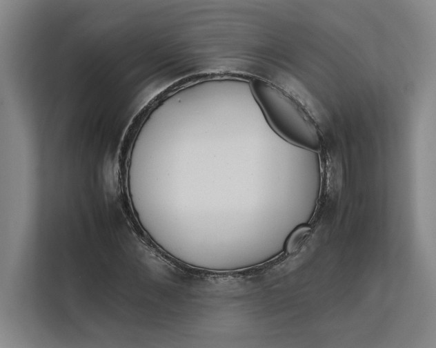 X0000112410876200909041354