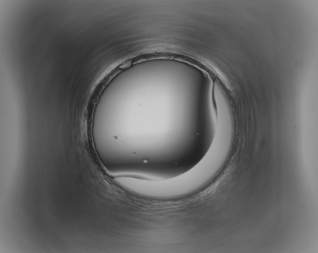 X0000112410877200909041354