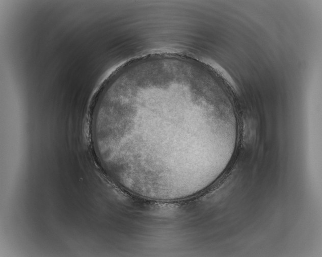 X0000112410878200909041354