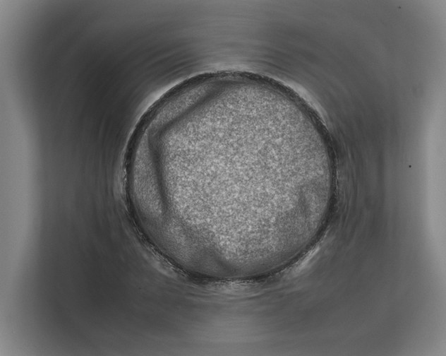 X0000112410879200909041354