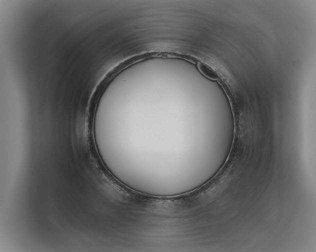 X0000112410880200909041354