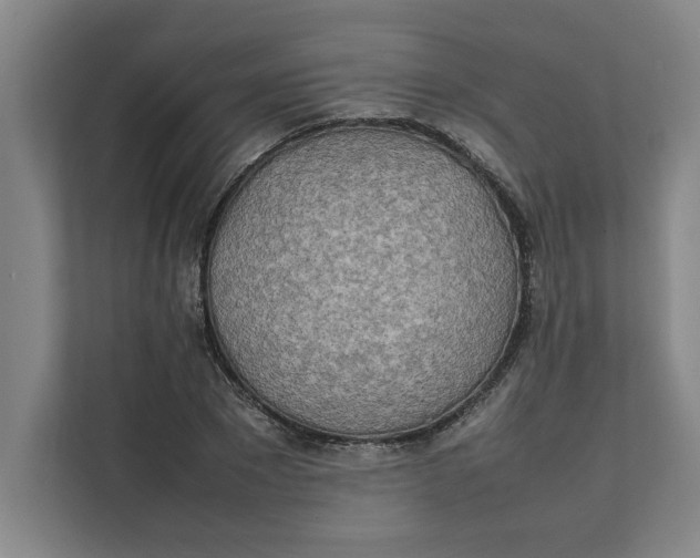 X0000112410881200909041354