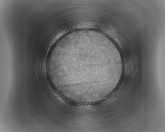 X0000112410882200909041354