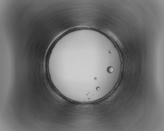 X0000112410884200909041354