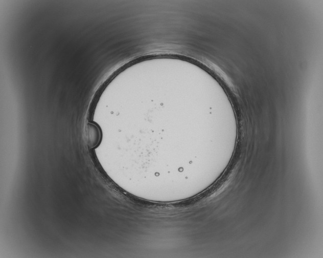 X0000112410885200909041354