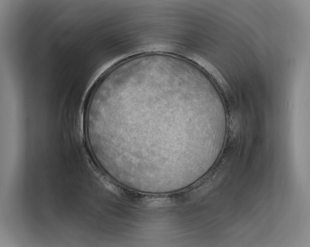 X0000112410886200909041354