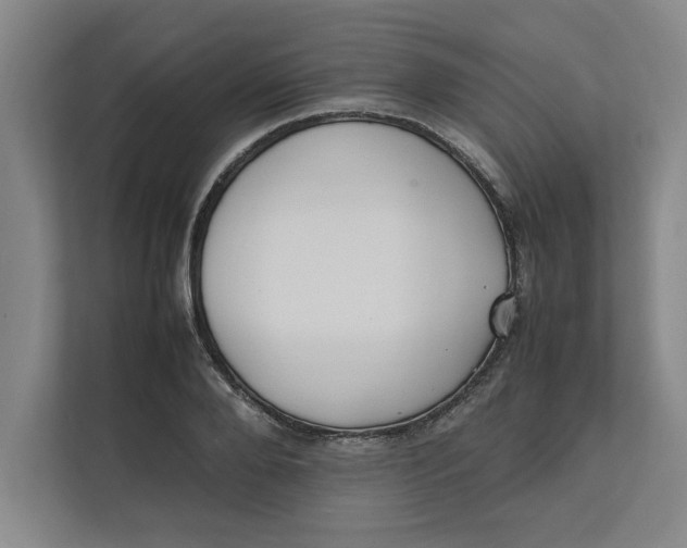 X0000112410888200909041354