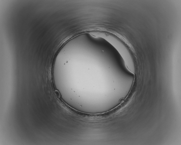 X0000112410889200909041354