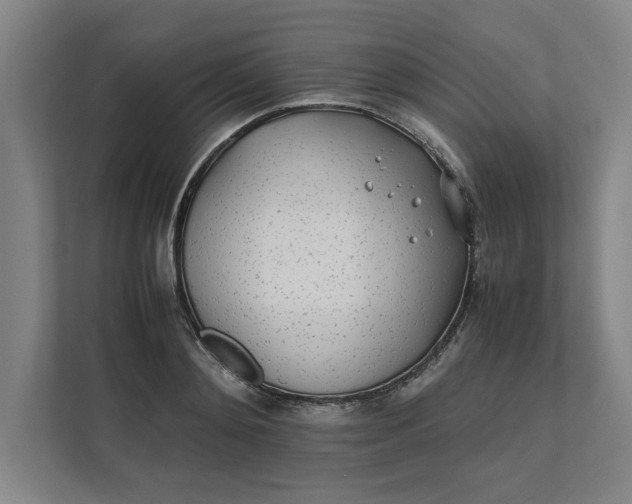 X0000112410892200909041354