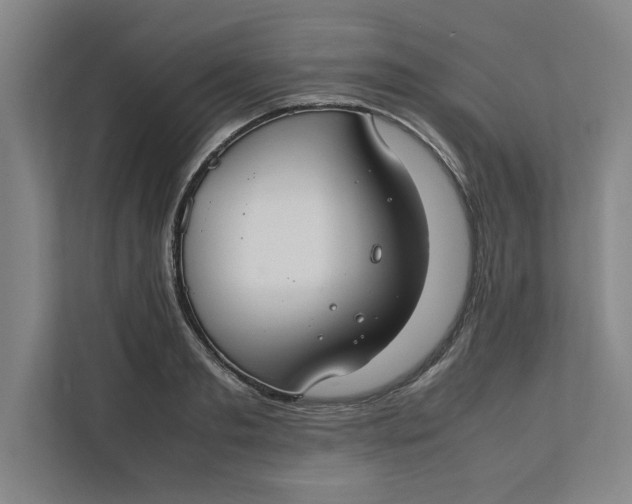 X0000112410893200909041354