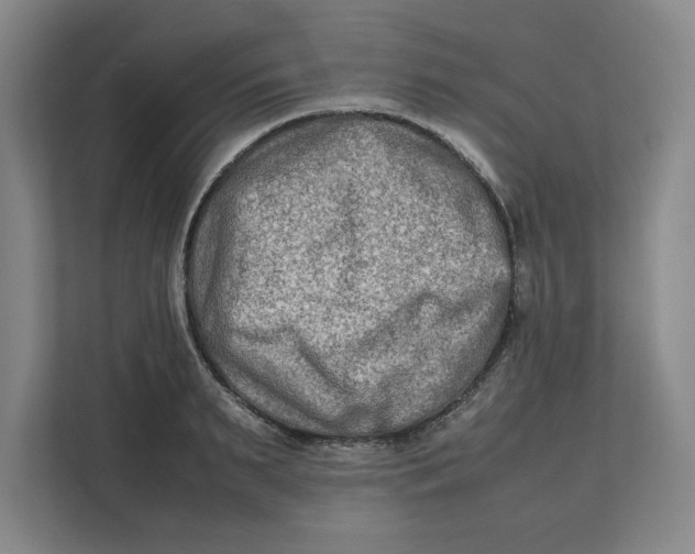 X0000112410895200909041354